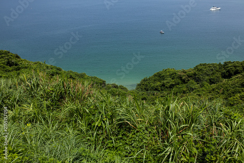 Фотография View of the ocean from a hillside with boats in the distance on a sunny day