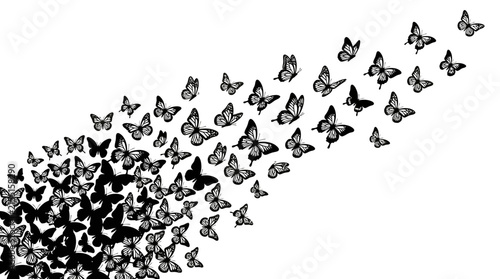 Swarm of black butterflies flying in a trail on a light background
