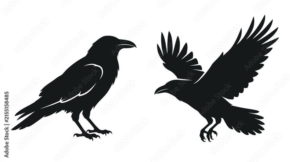 Obraz premium Black raven bird silhouettes in standing and flying poses isolated on white background.