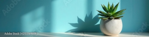 Sun-drenched succulent in concrete planter, cast shadows on blue wall, bedside table , bedroom, sun