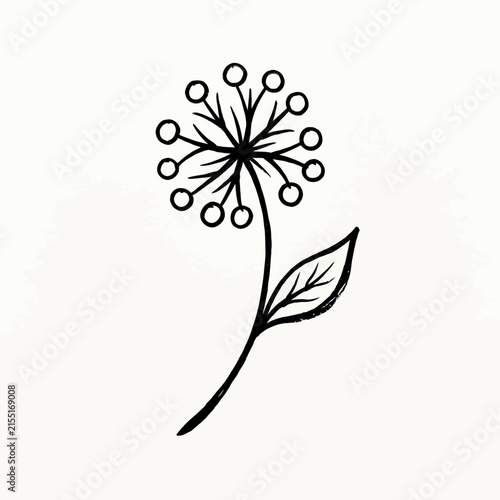 Black line art dandelion flower illustration.