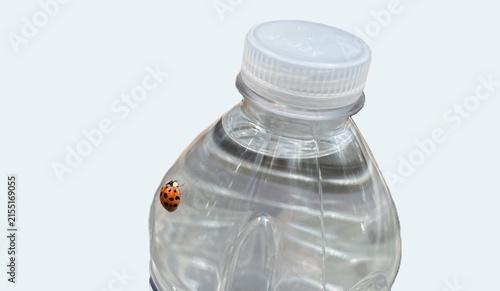 Fotografie MS ladybug on a water bottle