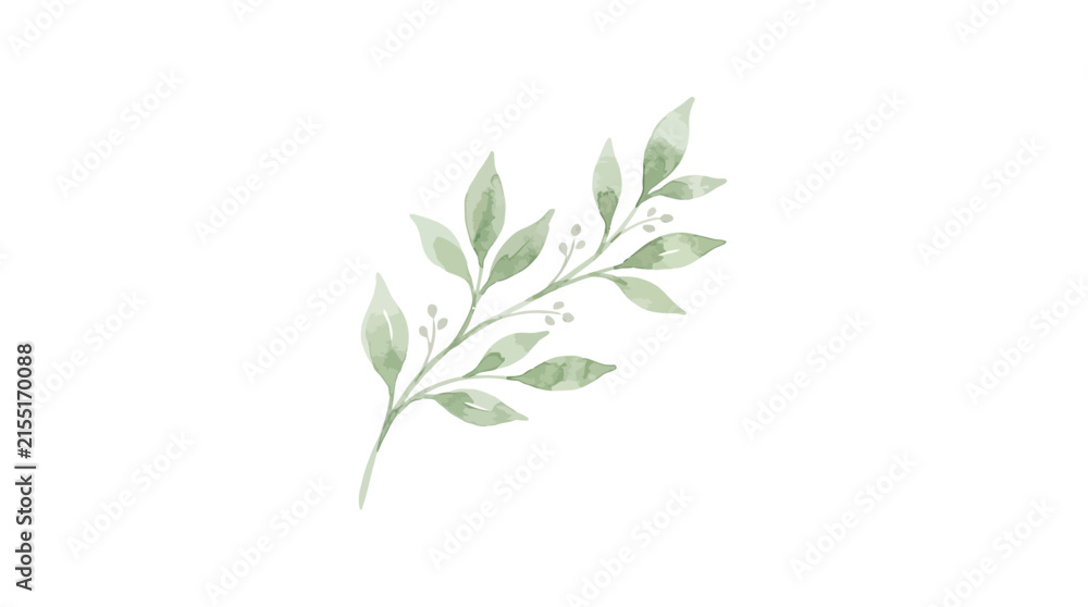 Fototapeta premium Watercolor Leaf Branch Isolated Transparent Background