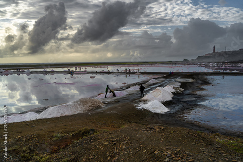 Los Salineros de las Salinas de Pampatar están  trabajando en sus montañas de sal que han sacado de la laguna.
