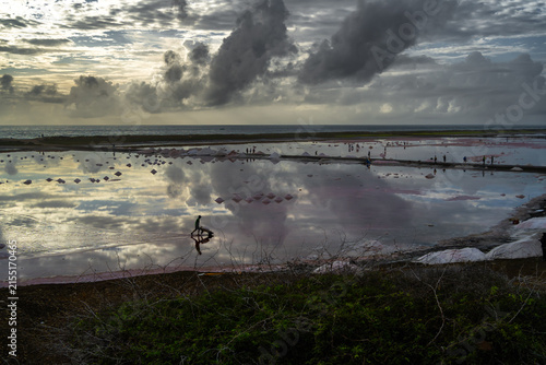El trabajador de las Salinas de Pampatar está llevando en su carretilla la sal dentro de la laguna.
