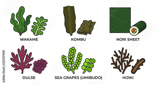 Edible Seaweeds and Marine Greens Flat Vector Icon Set
