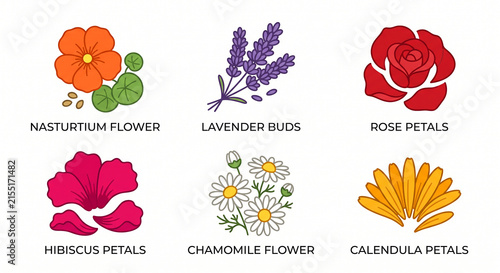 Edible Flowers and Botanical Ingredients Flat Vector Icon Set
