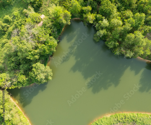 Фотография Aerial view of a tranquil green lake surrounded by lush tropical forest