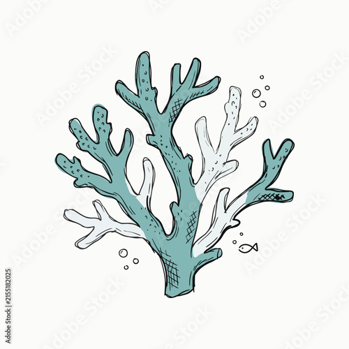 Teal coral branch vector illustration isolated on white background for marine design projects