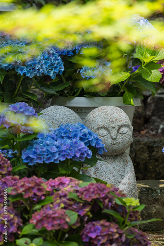 Obraz na płótnie 日本 愛知県豊橋市雲谷町にある普門寺の紫陽花に囲まれたお地蔵さま