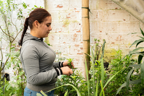 Young woman working in a home garden, tending to green plants