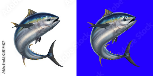 Large bluefin tuna fish swimming with metallic scales and fins
