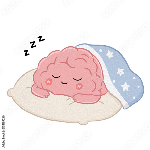 Fotografie Cute human brain character sleeping peacefully on a pillow with starry blanket i