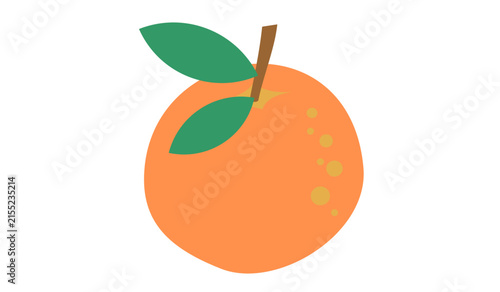Fresh Orange Fruit Vector Illustration Isolated on White Background