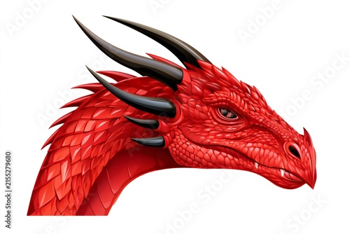 Red dragon head fantasy mythical creature illustration