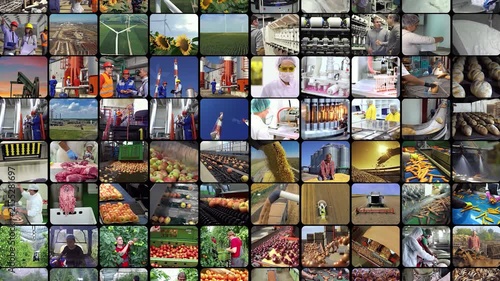 Massive Industrial Multiscreen Grid - Energy, Agriculture, Automation, Construction and Diverse Workers. Global Industry and Farming Multi-Window Montage.
