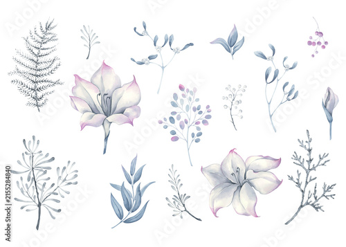 Delicate Winter Botanical Collection with Magnolia, Mistletoe, Berries and Evergreen Branches in Watercolor