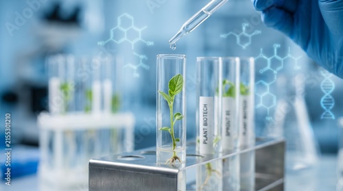 Scientist conducting plant growth experiment in laboratory with test tubes.
