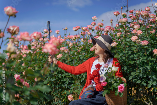 Rose Garden Asian Woman Enjoying Colorful Flowers with Mountain Landscape in Chiang Mai, Northern Thailand