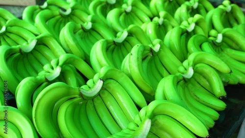 close up of bunch of green bananas