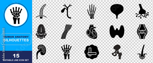A comprehensive set of black human anatomy silhouettes displaying skeletal structures internal organs and the complex nervous system in illustrative detail