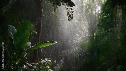 Ethereal sunlight rays pierce through the thick mist in a lush green jungle.