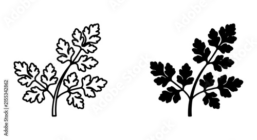Canvas Print Chervil Herb Vector Icons, Delicate Parsley Leaf Illustrations, Botanical Sprig