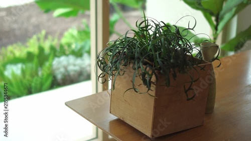 Relaxing corner in the coffee shop and a quiet workspace, decorated with small plants and warm-toned lamps on the tables.