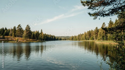Serene forest lake surrounded by dense coniferous trees under a clear blue summer sky horizon with captures tranquil lake within lush coniferous