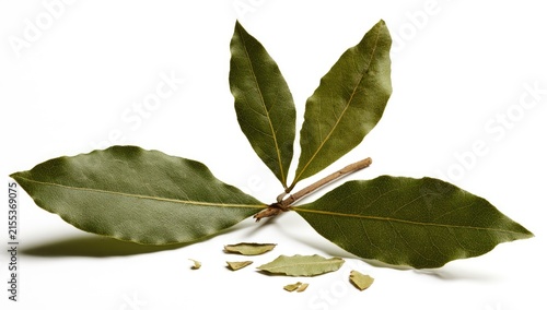 Dried Bay Leaves on White Background.