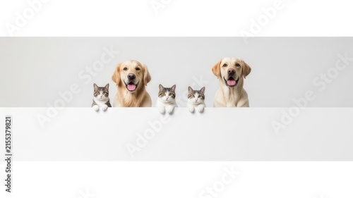 Cute Dogs and Cats Peeking Over Banner
