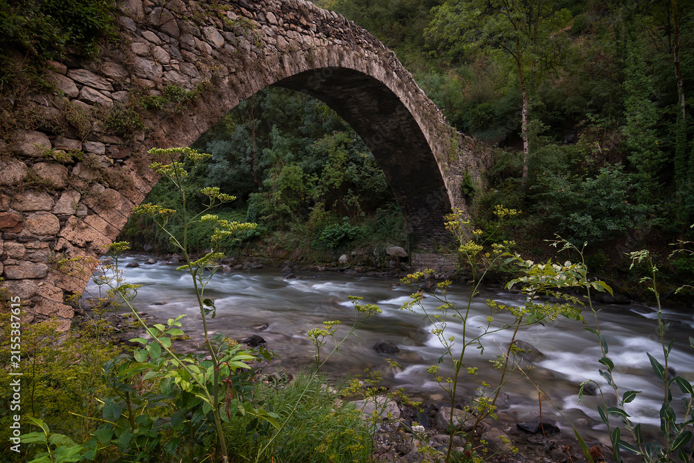 Fototapeta premium River flows under a medieval stone bridge