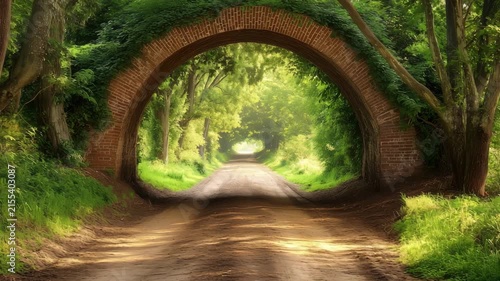 A traveler walks along a dirt road under arching trees with green foliage on a bright day