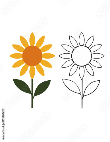 sunflower vector illustration