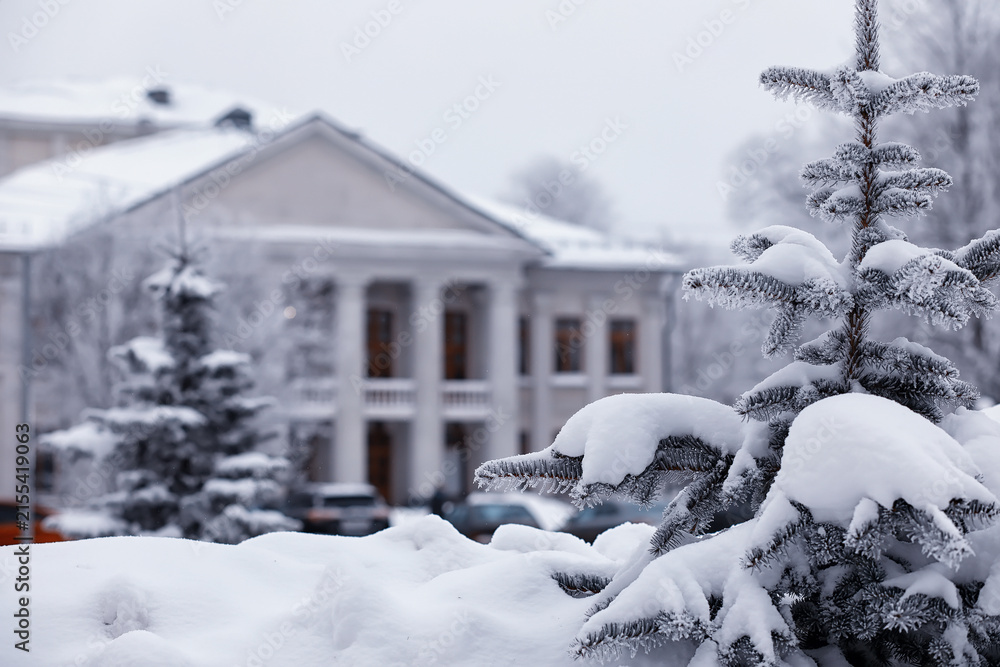 Fototapeta premium Winter forest landscape. Tall trees under snow cover. January frosty day in the park.