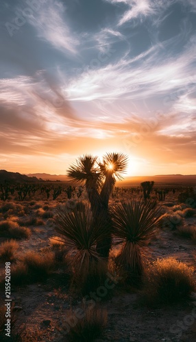 Golden desert sunset paints a vast landscape serene beauty inspiring travel photography stock image