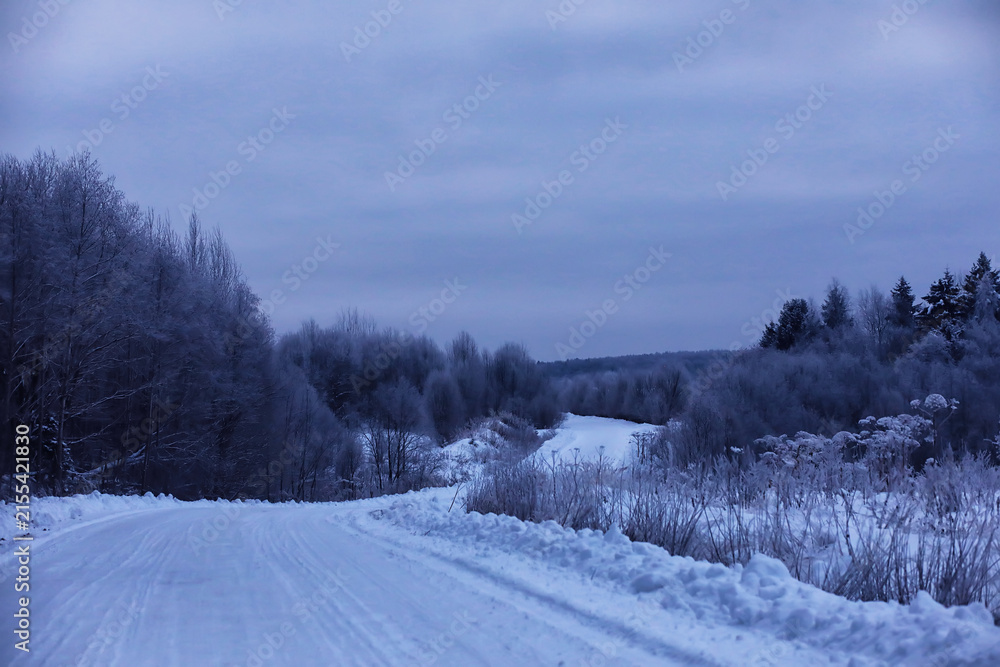 Fototapeta premium The forest is covered with snow. Frost and snowfall in the park. Winter snowy frosty landscape.