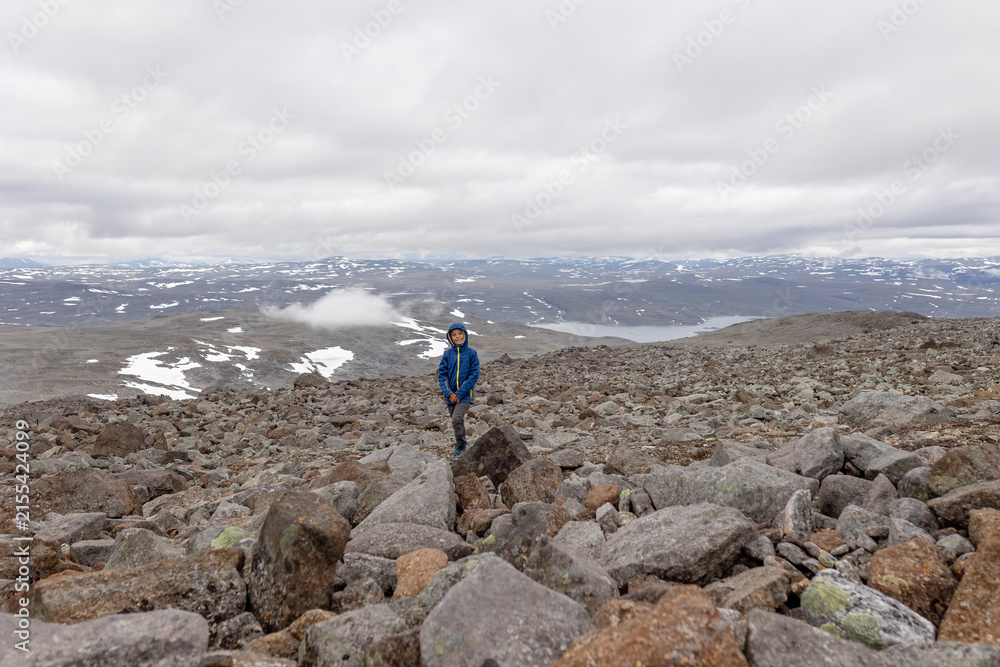 Obraz premium European family with children and pet dog, hiking Halti, the highest peak in Finland, child with pet dog, backpacking, summer, trail