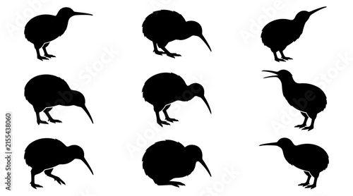 Set of kiwi bird silhouettes in different poses