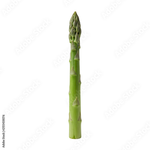 Single fresh green asparagus spear isolated on transparent background