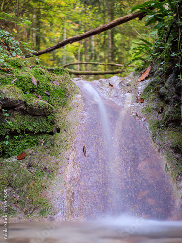 Mossy Forest Stream With Small Waterfall And Fallen Trees