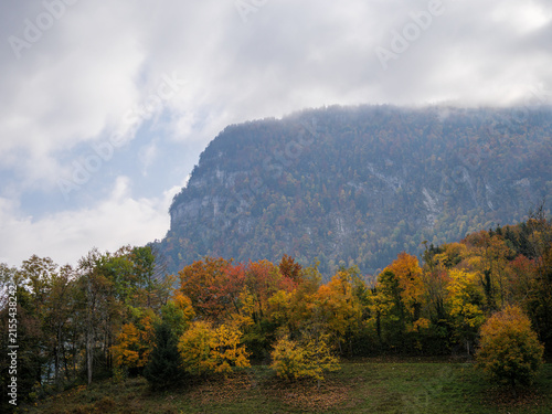 Autumn Forest Below Misty Limestone Mountain Cliff