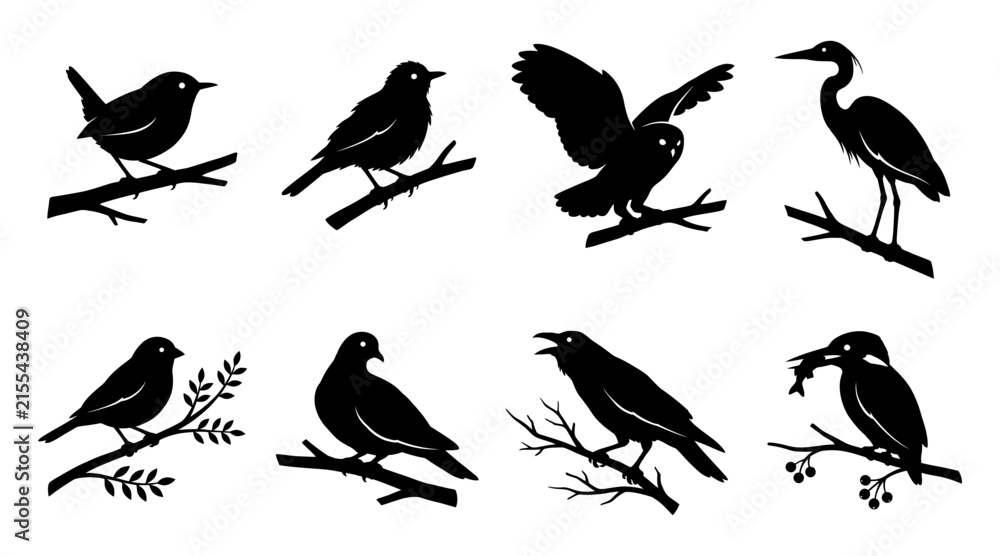 Obraz premium Set of bird silhouettes