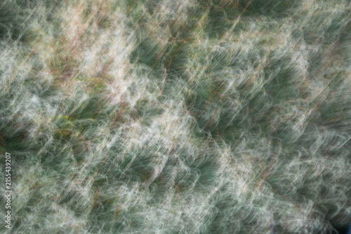 Fotografie Abstract botanical composition created with intentional camera movement, featuring delicate white seed heads and green foliage transformed into soft flowing textures and painterly patterns
