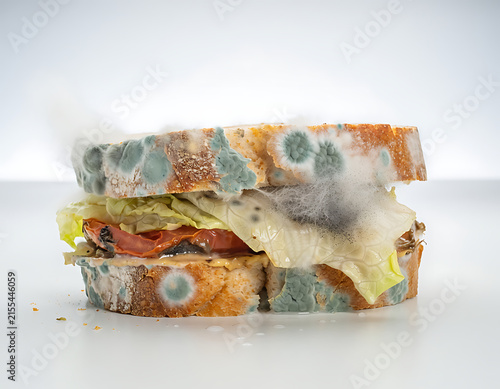 Close-up of a Moldy Sandwich with Green Fungus and Spores on White Background