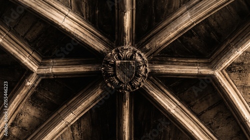 Gothic vaulted ceiling with stone ribs and heraldic boss, ancient cathedral architecture, medieval stone vaulting details isolated PNG with Transparent Background
