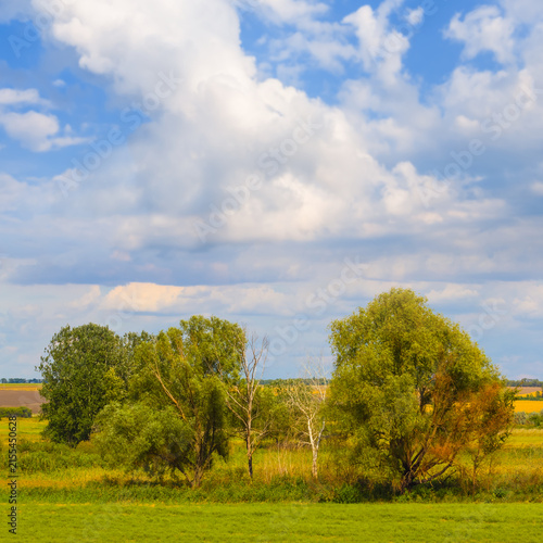 wide rural field under a blue cloudy sky