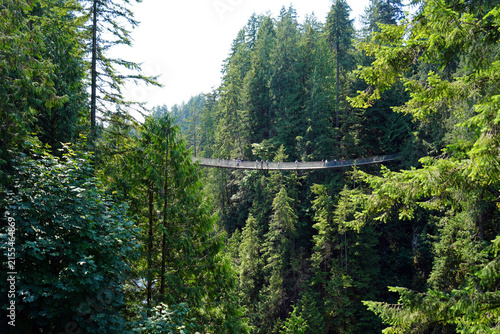 Capilano Suspension Bridge Park