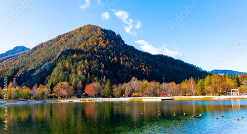 Картината върху платно The autumn trees in Jasna lake with beautiful reflections of the mountains
