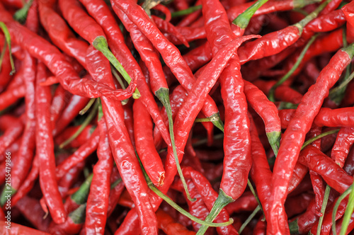 Obraz na plátně piles of fresh curly red chilies (*Capsicum annuum* var